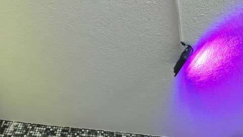 Viiolett online show from 09.17.25