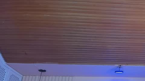 Viiolett online show from 10.01.25