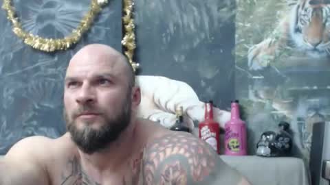 viking online show from 03.24.26