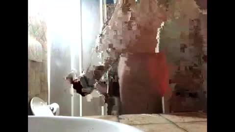 Zenith online show from 03.19.26