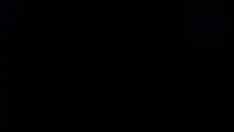 Daniela online show from 12.28.24