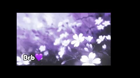 Violeta online show from 09.11.25