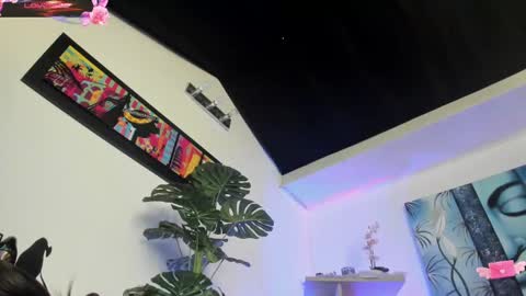 violetparkker online show from 03.12.25