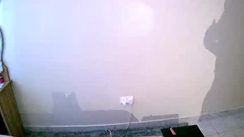 Snapshot of virtual_wifey chatting on 01.19.25 Your Virtual Wife online show from 01.19.25