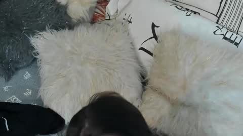 Snapshot of vitaxviper chatting on 09.30.25 Vit a Viper online show from 09.30.25