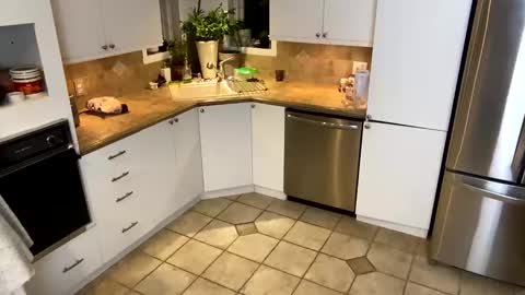 Vivlove online show from 01.20.25