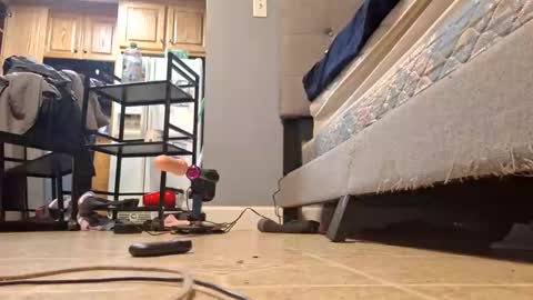 Vix online show from 02.14.25