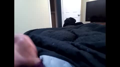 Snapshot of vladedivac1998 chatting on 09.23.25 vladedivac1998 online show from 09.23.25