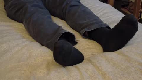 I love the ol in-n-out  online show from 01.15.26