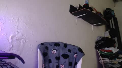  washbag14 online show from 02.13.26