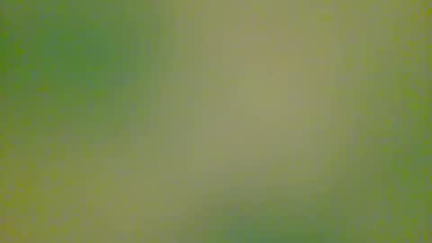 Snapshot of watchplaycum chatting on 10.08.25 watchplaycum online show from 10.08.25