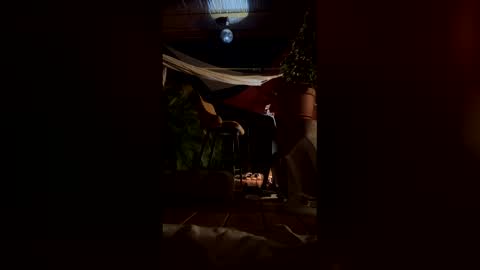 watershed111111 online show from 02.08.26