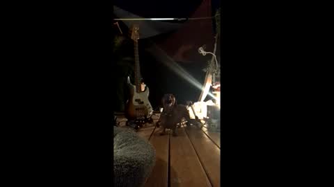 watershed111111 online show from 02.19.26