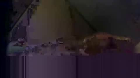 waynedmiller60895321 online show from 04.02.26