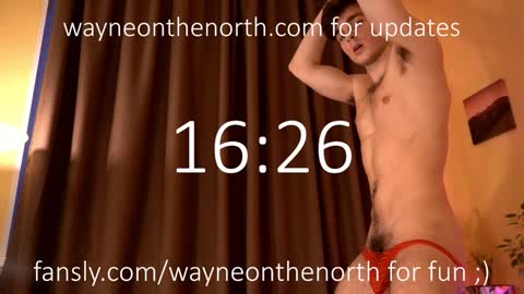 Snapshot of waynenorth chatting on 12.16.24 waynenorth online show from 12.16.24
