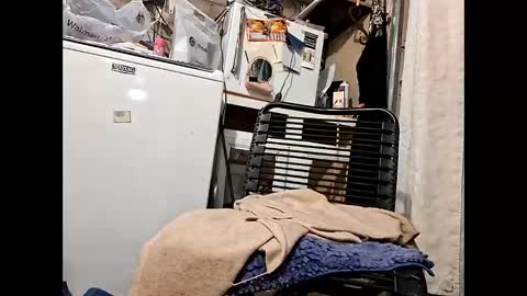 wcnmail24 online show from 02.16.26