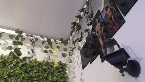 Trixie 3 online show from 01.29.25