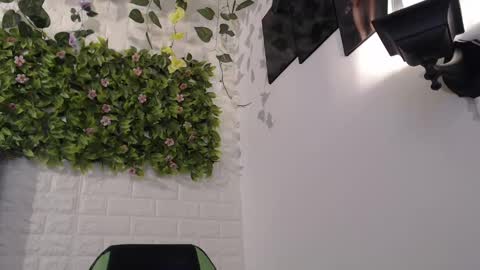 Trixie 3 online show from 02.17.25