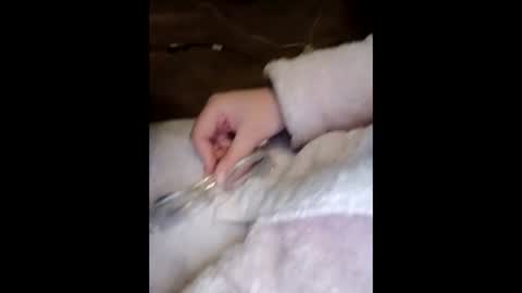 Marina online show from 03.23.26