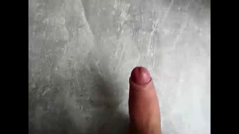 Weilpasst online show from 11.19.25