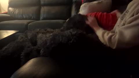 wellocal online show from 12.21.25