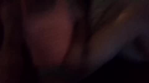 Snapshot of wesley147096 chatting on 02.24.25 Wesley Lies online show from 02.24.25