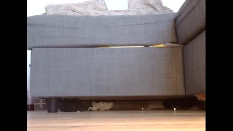 wet_pants2022 online show from 02.27.25