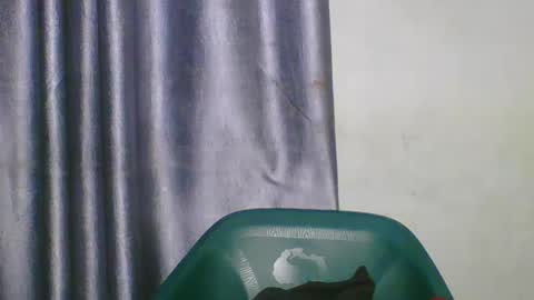 wetfatpussy_ online show from 03.05.26