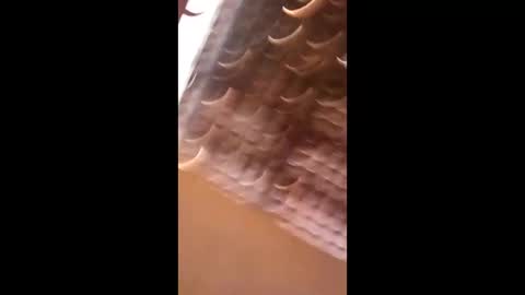 Snapshot of wgebnnrfodwt chatting on 04.03.26 wgebnnrfodwt online show from 04.03.26