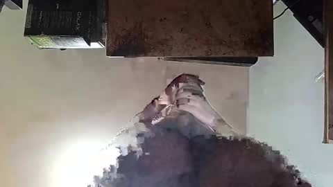 whatsexo online show from 09.19.25