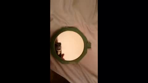 whetedoyouwantmetoputit online show from 03.22.26