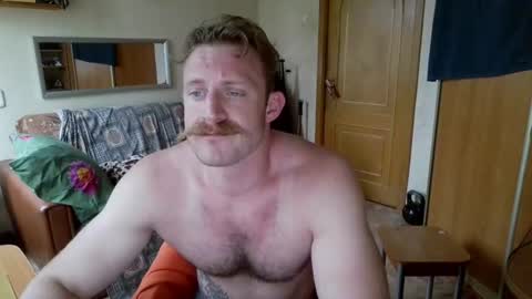 WhiteBull online show from 07.02.26