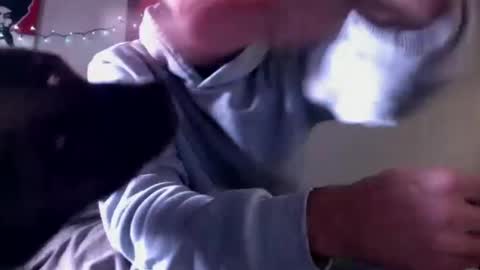 just  str8 stud nut  1000 online show from 01.10.25