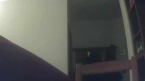 Whiteduke online show from 12.06.24