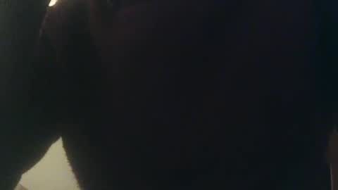 Whiteduke online show from 01.03.25