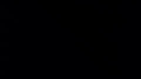 whitehead_lion online show from 02.21.25