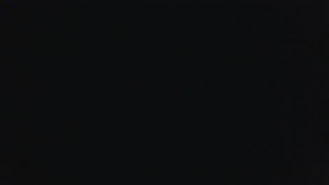 whitehead_lion online show from 09.18.25