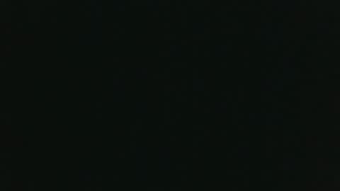 whitehead_lion online show from 11.14.25