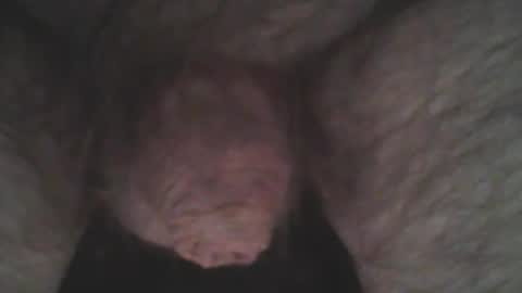 whitemann65 online show from 01.02.25