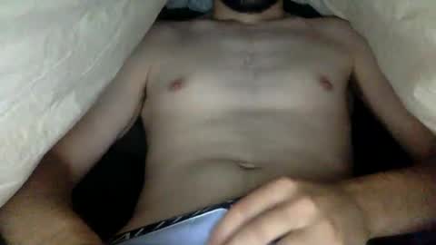 wholesomebull00 online show from 10.28.25