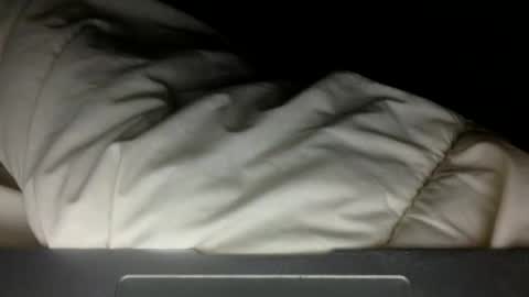 wholesomebull00 online show from 11.10.25