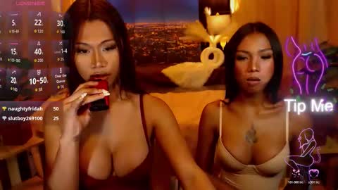 wildara online show from 05.24.26