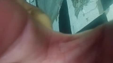 Snapshot of wildasshole123 chatting on 11.29.25 wildasshole123 online show from 11.29.25