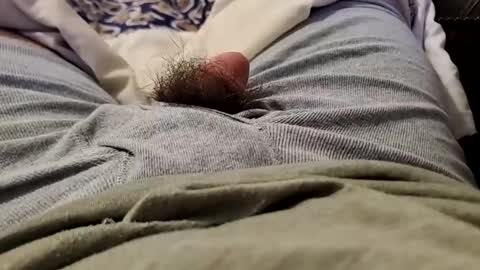 Wild-at-heart online show from 12.22.24