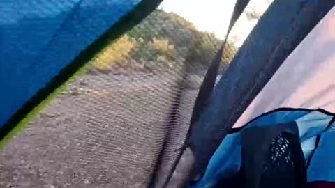 wildernessgoddess online show from 11.14.25