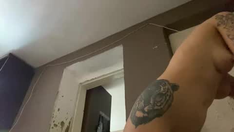 wildforestmuse  twitter online show from 03.25.26