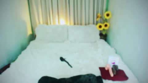 Snapshot of wildhotivana chatting on 01.29.25 ivana online show from 01.29.25