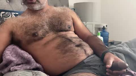 wildhungry online show from 01.03.25