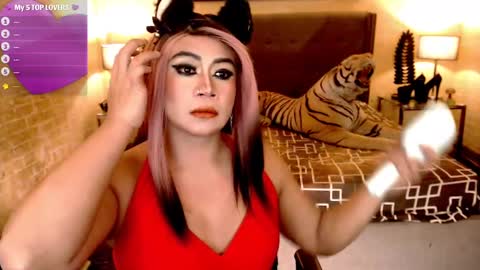 wildtransjhade online show from 01.11.25