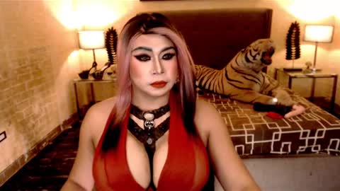 wildtransjhade online show from 01.19.25